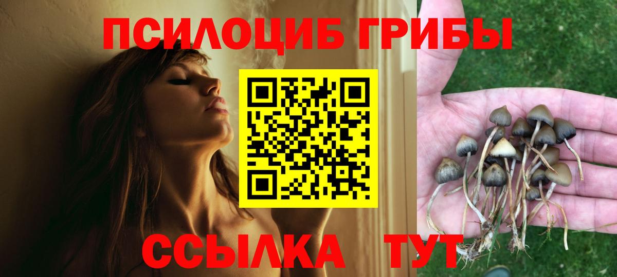 Обнинск  Галлюциногенные грибы Cubensis  Галлюциногенные грибы MAGIC MUSHROOMS  Вход с VPN 