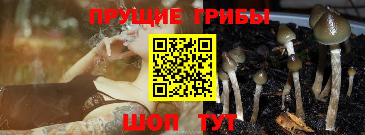 Галлюциногенные грибы GOLDEN TEACHER Обнинск